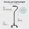 image:imageQuad Cane amp Toilet Safety Rails